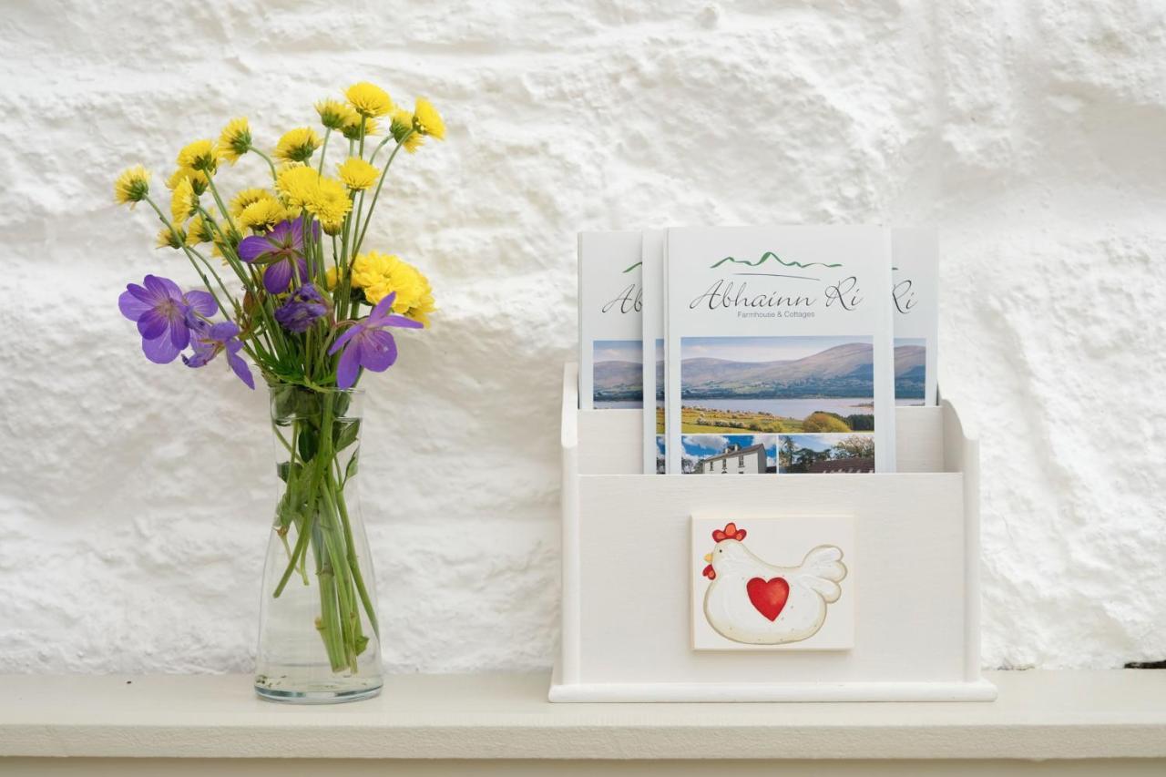 Abhainn Ri Bed & Breakfast Blessington