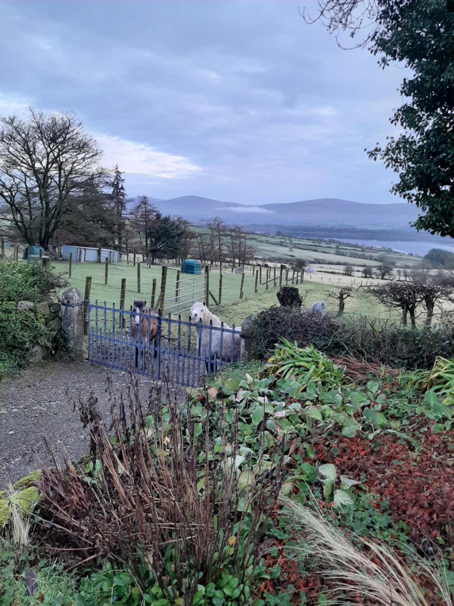 Abhainn Ri Bed & Breakfast Blessington
