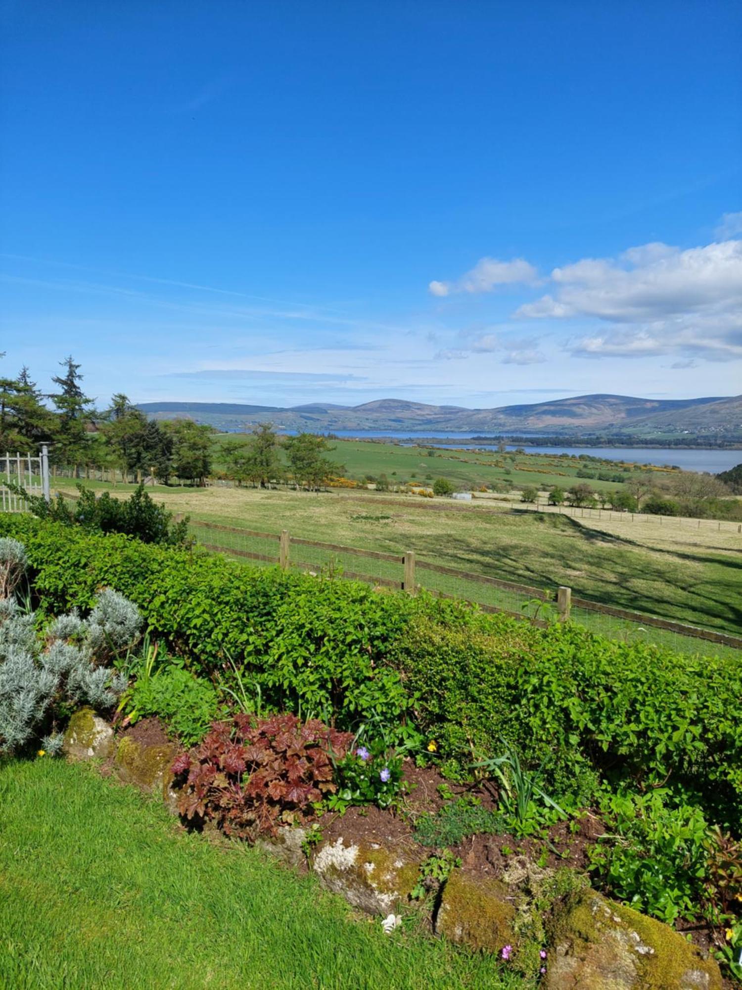 Bed & Breakfast Abhainn Ri Blessington